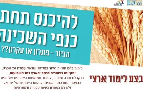 מבצע לימוד ארצי בשבועות – 'גיור-פתרון או עקרון'